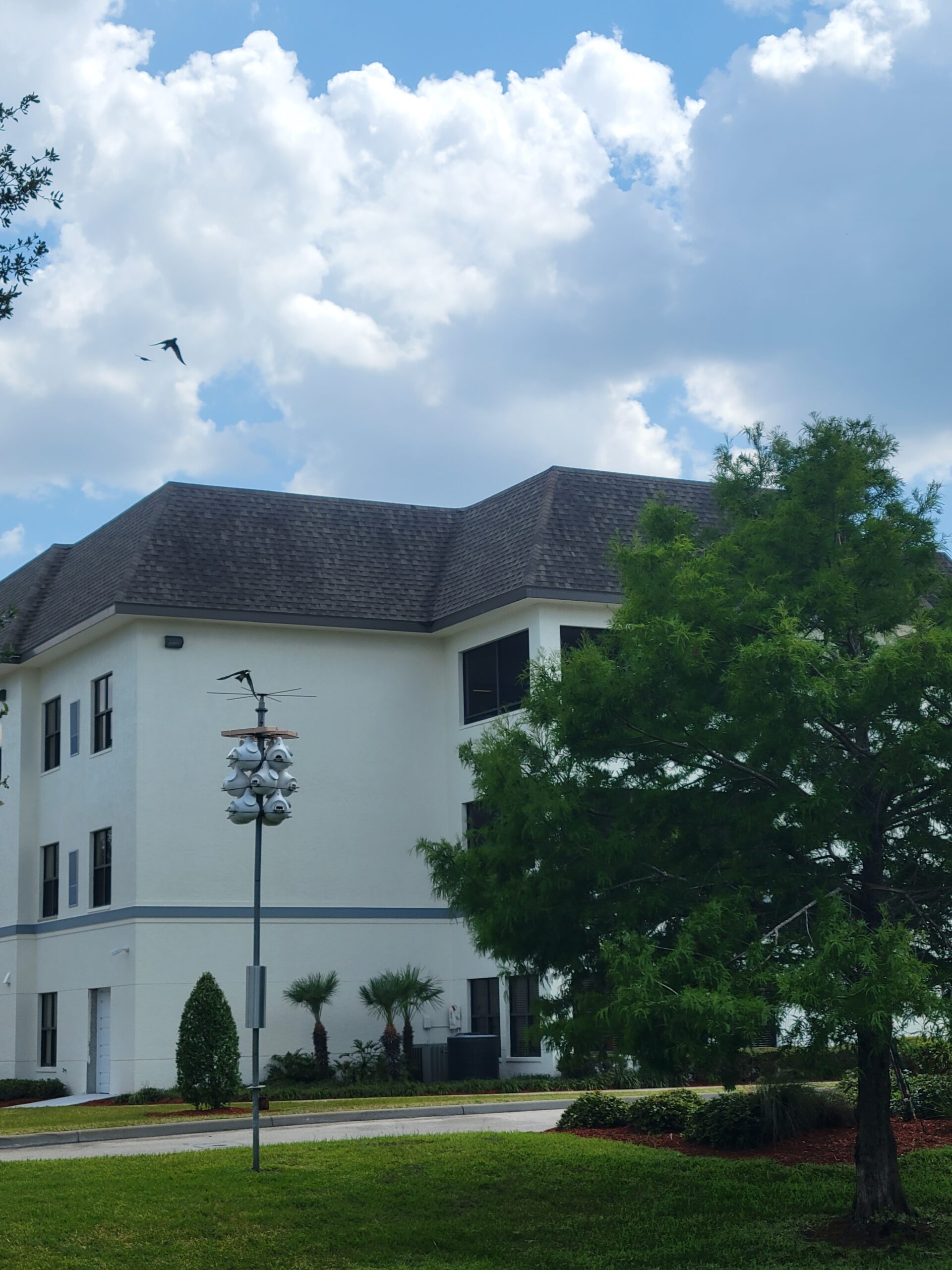 purple martin nests at Buena Vida Estates