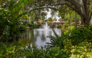 lake at buena vida estates