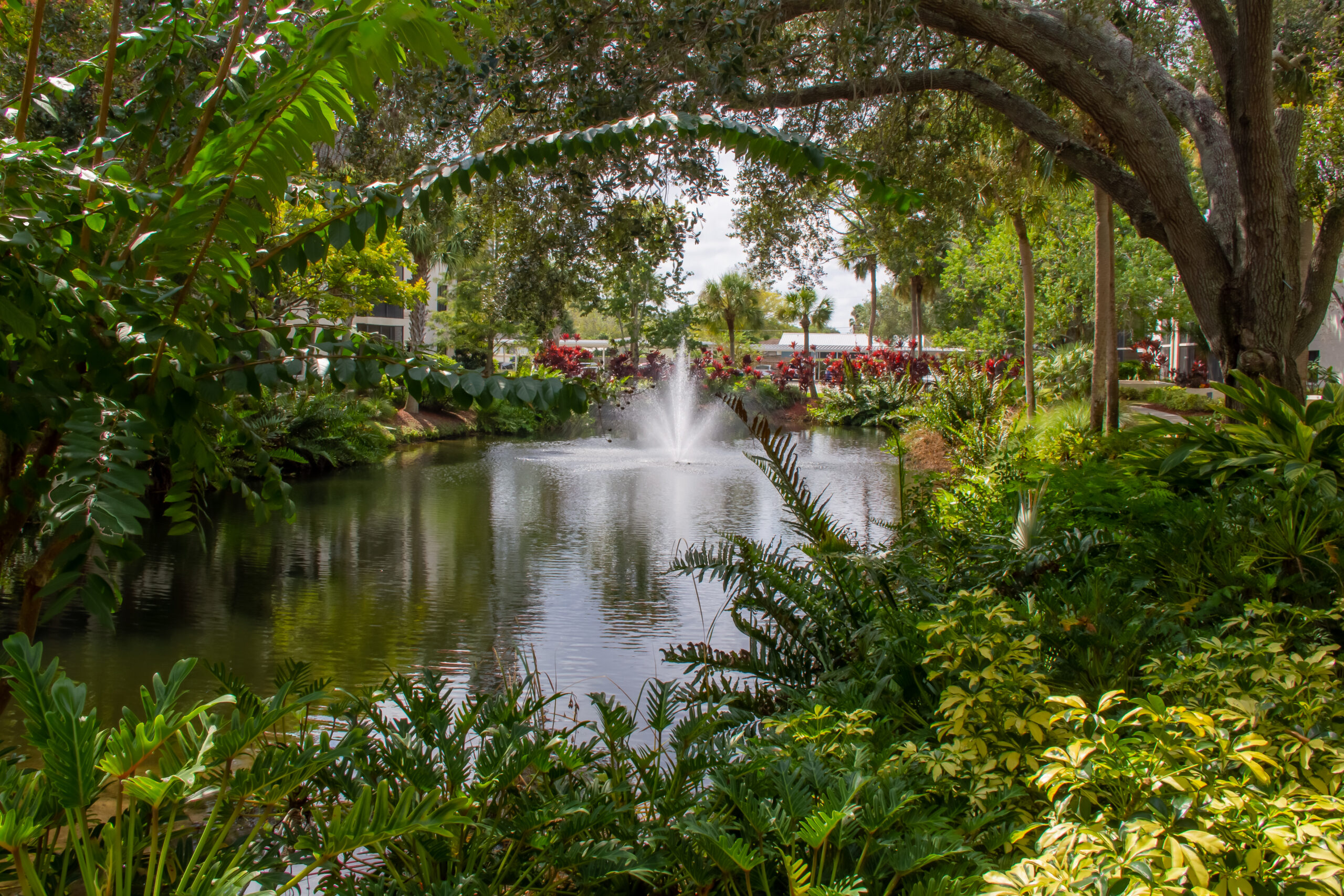 lake at buena vida estates