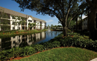 pond view at buena vida estates