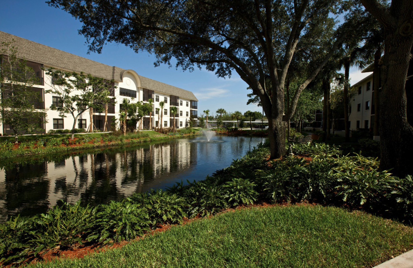 pond view at buena vida estates